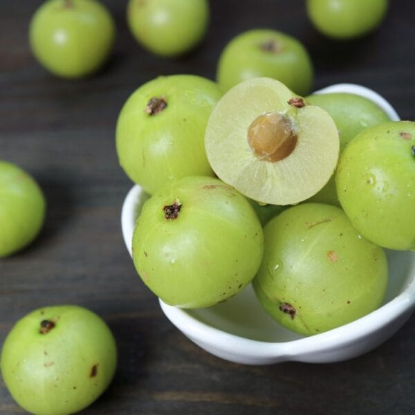 Amla Seed Oil