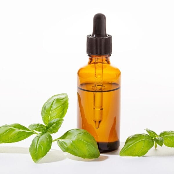 Amyris Oil